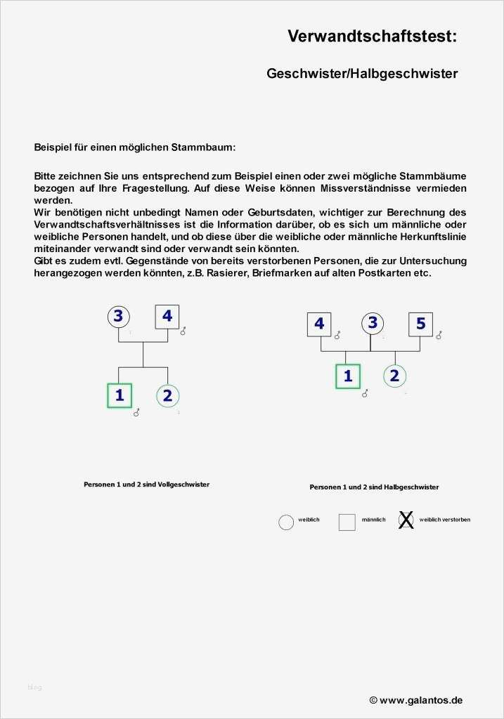 Reisevollmacht Kind Mit Einem Elternteil Vorlage Beste Reisevollmacht Kind Mit Einem Elternteil Reisevollmacht