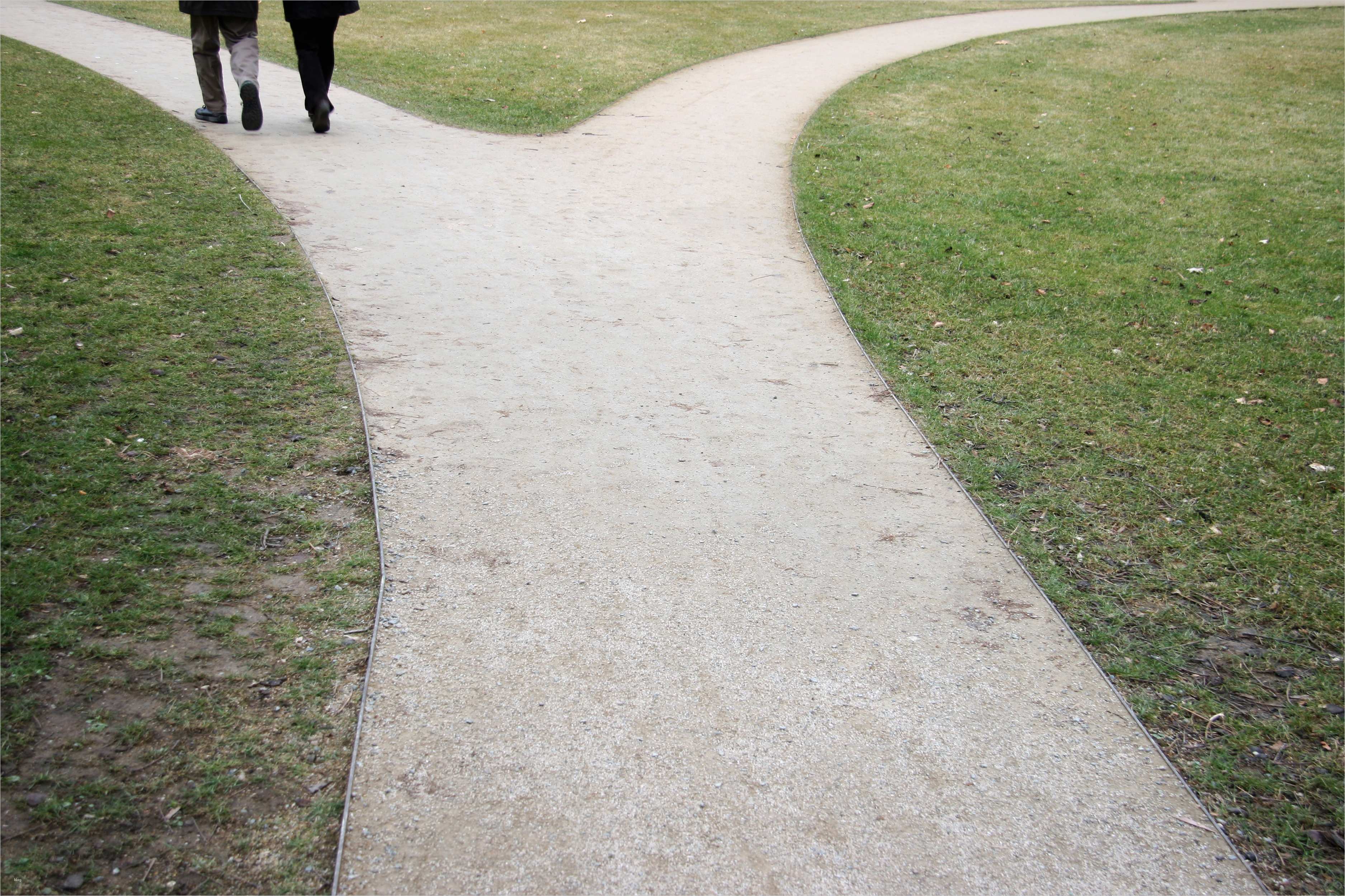 Rentenversicherung Kündigen Vorlage Wunderbar Riester Kündigen Vertrag Kündigen Oder Lieber Wechseln