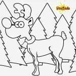 Rentier Vorlage Zum Ausdrucken Cool Tiere Winter Archive Ausmalbilder Adventskalender
