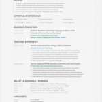 Resume Vorlage Englisch Elegant atemberaubend Unterschied Lebenslauf Lebenslauf