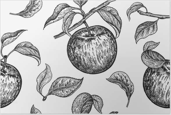 Risikoanalyse Lebensmittel Vorlage Angenehm Groß Lebensmittel Vorlage Bilder Entry Level Resume