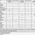 Risikoanalyse Lebensmittel Vorlage Beste Qualifizierung Von Reinräumen Teil 3