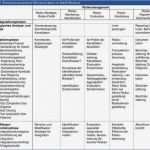 Risikoanalyse Medizinprodukte Vorlage Cool Fein Prozess Gefahrenanalyse Vorlage Zeitgenössisch