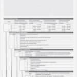 Risikobeurteilung Maschinenrichtlinie Vorlage Großartig Risikobeurteilung Defekturarzneimittel Block Mit 50 Blatt