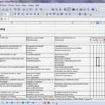 Risikobeurteilung Vorlage Excel Wunderbar atemberaubend Beispiel Für Eine Excel Vorlage Checkliste
