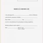 Rohs Konformitätserklärung Vorlage Bewundernswert Charmant Recognition Service Zertifikatvorlage Galerie