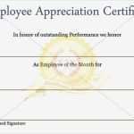 Rohs Konformitätserklärung Vorlage Fabelhaft Charmant Recognition Service Zertifikatvorlage Galerie