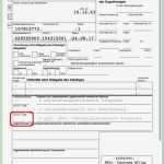 Rohs Konformitätserklärung Vorlage Fabelhaft Wunderbar Medizinische Richtlinie Vorlage Galerie