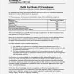 Rohs Konformitätserklärung Vorlage Neu atemberaubend Versandauftragsvorlage Fotos Ideen