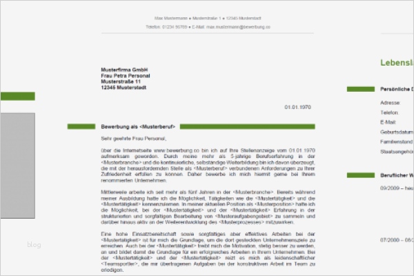 Roi Berechnung Excel Vorlage Schön Gewinn Und Verlustrechnung Vorlage Excel Kostenlos Oppermann