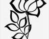 Rose Zeichnung Vorlage Angenehm Schwarze Silhouette Kontur Rose isoliert Auf Weiß