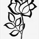 Rose Zeichnung Vorlage Angenehm Schwarze Silhouette Kontur Rose isoliert Auf Weiß