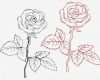 Rose Zeichnung Vorlage Angenehm Vom Bild Zum Stickmuster – Teil 2 Bernina Blog