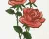 Rose Zeichnung Vorlage Best Of Ausgezeichnet Rosen Vorlage Fotos Entry Level Resume