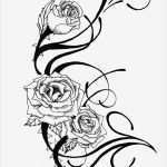 Rose Zeichnung Vorlage Bewundernswert Rosenranke Tattoo Bedeutung Ideen Und Vorlagen