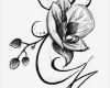 Rose Zeichnung Vorlage Cool Blumenranken Tattoo 20 Schöne Vorlagen Für Diverse