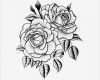 Rose Zeichnung Vorlage Cool Twin Rose Temporary Tattoo Set Of 2