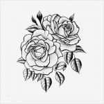 Rose Zeichnung Vorlage Cool Twin Rose Temporary Tattoo Set Of 2