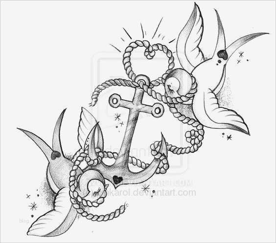 Rose Zeichnung Vorlage Einzigartig Schwalbe Retten