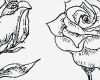 Rose Zeichnung Vorlage Erstaunlich Blumen Bilder Zum Ausmalen