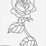 Rose Zeichnung Vorlage Erstaunlich Kostenlose Tiffany Fenster Vorlagen Tiffany Vorlagen 073