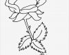 Rose Zeichnung Vorlage Erstaunlich Rote Rose Zum Selbst Ausmalen Nadines Ausmalbilder