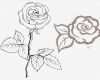 Rose Zeichnung Vorlage Erstaunlich Vom Bild Zum Stickmuster – Teil 6 › Bernina Blog