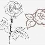 Rose Zeichnung Vorlage Erstaunlich Vom Bild Zum Stickmuster – Teil 6 › Bernina Blog