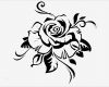Rose Zeichnung Vorlage Erstaunlich Wandtattoo Rose Pflanzen Motive