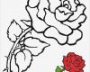 Rose Zeichnung Vorlage Genial Blumen Vorlagen 2