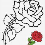 Rose Zeichnung Vorlage Genial Blumen Vorlagen 2