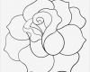 Rose Zeichnung Vorlage Inspiration Red Rose Cliparts