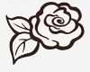 Rose Zeichnung Vorlage Süß Search Results for “rose Zeichnung Vorlage” – Calendar 2015