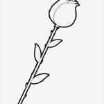 Rose Zeichnung Vorlage Wunderbar Ausmalbilder Rose Kostenlos Malvorlagen Zum Ausdrucken