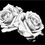 62 Genial Rosen Tattoo Vorlage Vorräte 47 Rosen Tattoo Vorlage Erstaunlich Pinterest • the World’s Catalog Of Ideas