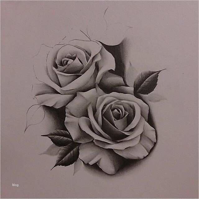 Rosen Tattoo Vorlage Schönste Pin Von Fran H Auf Tattoos Pt 2 Pinterest