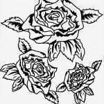 Rosen Tattoo Vorlagen Kostenlos Beste Sterne Tattoo Vorlagen Kostenlos Kostenlose Einfach