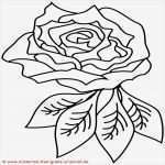 Rosen Tattoo Vorlagen Kostenlos Neu 100 Tribal Vorlagen Zum Ausdrucken Bilder Ideen