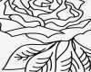 Rosen Tattoo Vorlagen Kostenlos Schön Schön Rose Tattoo Malvorlagen Zeitgenössisch Beispiel