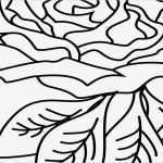 Rosen Tattoo Vorlagen Kostenlos Schön Schön Rose Tattoo Malvorlagen Zeitgenössisch Beispiel