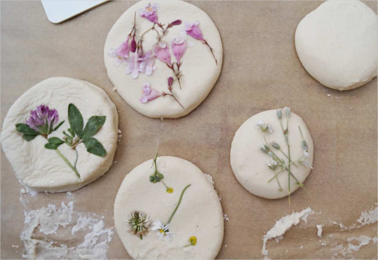 Salzteig Basteln Vorlagen Erstaunlich Blumenfreuden Schönes Aus Salzteig Mit Kindern Basteln