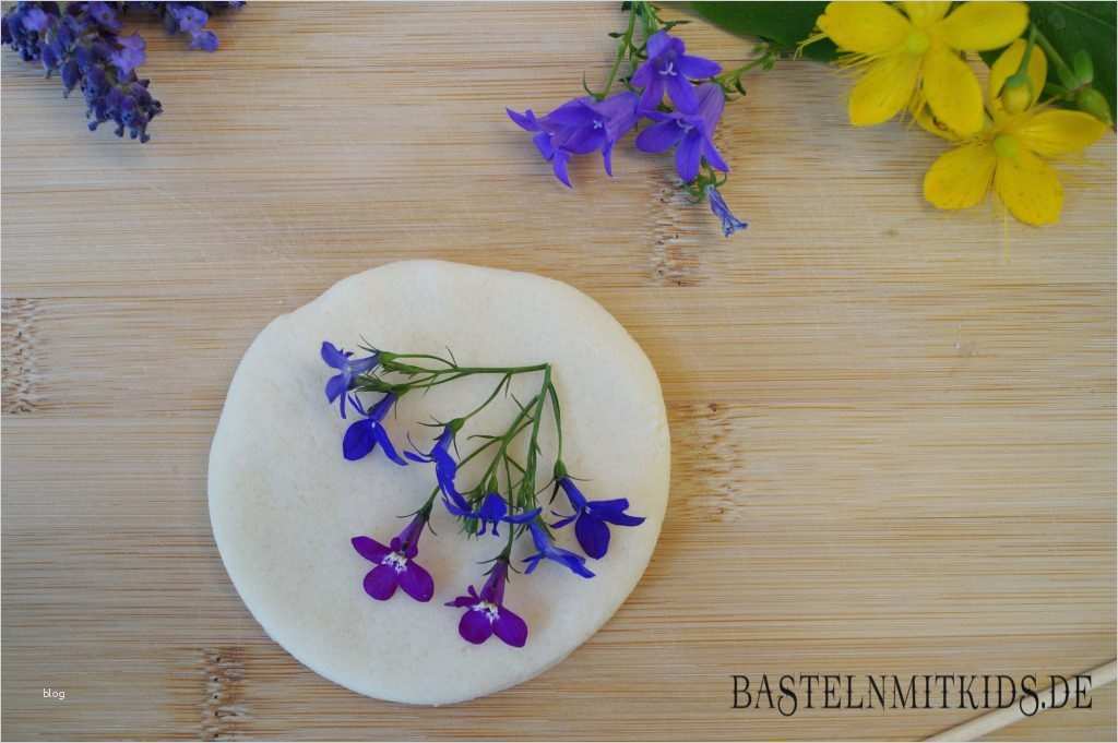 Salzteig Basteln Vorlagen Luxus Salzteig Ideen Mobile Selber Basteln Basteln Mit Kindern