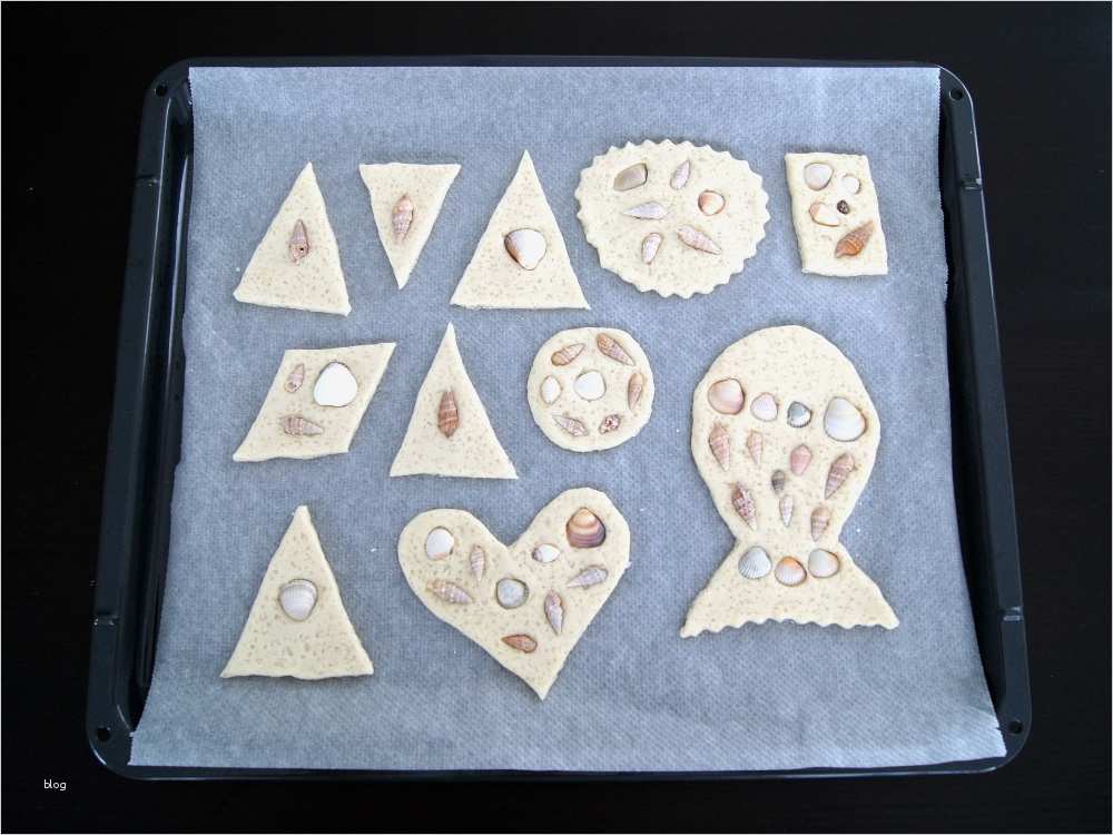 Salzteig Basteln Vorlagen Wunderbar Kids Kreativ Meeresstimmung Mit Muscheln Und Salzteig