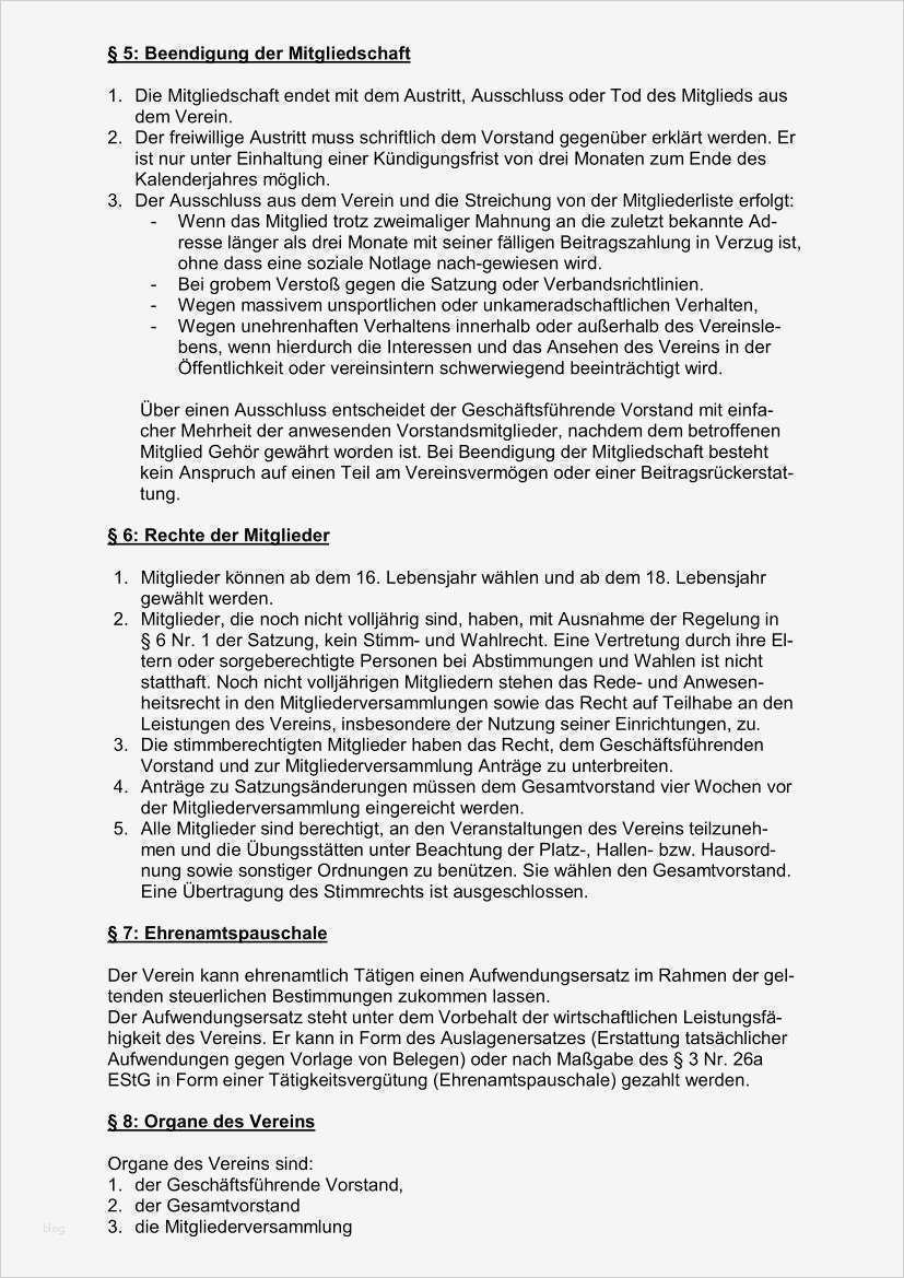 Satzung Vorlage Einzigartig atemberaubend S Corp Satzung Vorlage Zeitgenössisch