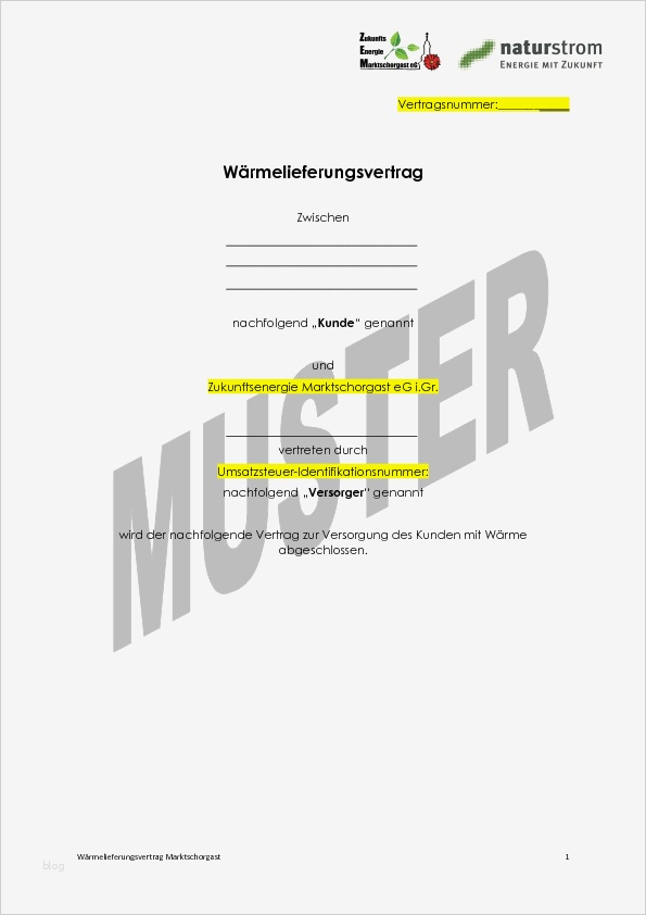 Satzung Vorlage Süß Gründung Der Genossenschaft