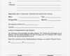 Schadensmeldung Vorlage Erstaunlich formulare