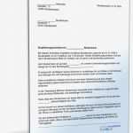 Schadensmeldung Vorlage Inspiration Empfehlung Eines Studenten Für Ein Praktikum Muster Zum