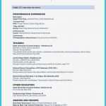 Schauspieler Vita Vorlage Erstaunlich Beste Tanz Lebenslauf Beispiel Ideen Ideen fortsetzen