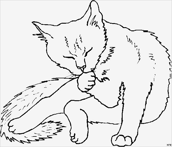 Scherenschnitt Vorlagen Katzen Genial Katze Putzt Sich Ausmalbild & Malvorlage Tiere