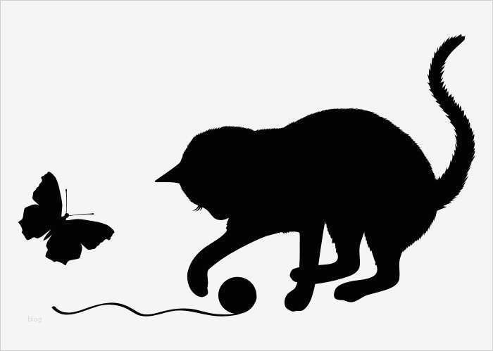 Scherenschnitt Vorlagen Katzen Wunderbar Wandtattoo Katze Samtpfote Silly Knutselen